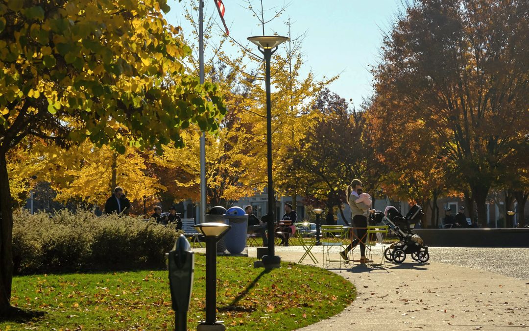 Fall Festivals and Activities in Birmingham, MI: A Seasonal Guide