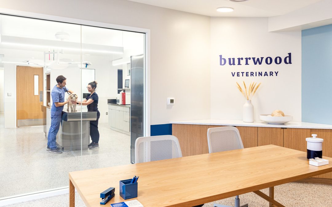 Compassionate Care Awaits at Burrwood Veterinary in Birmingham