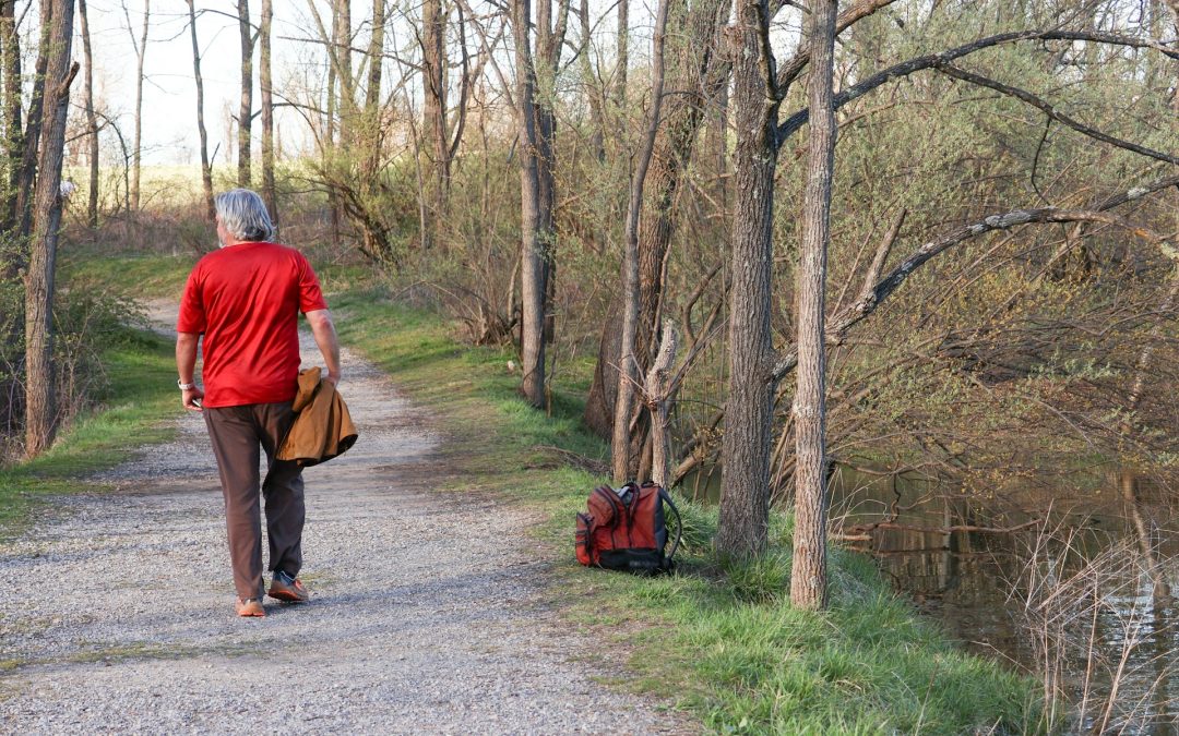 Explore Booth Park and More: Birmingham’s Best Winter Parks For Take A Walk Outdoors Day